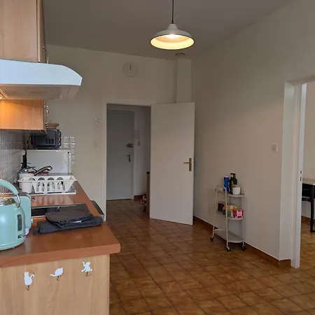 Du Parc Ambert